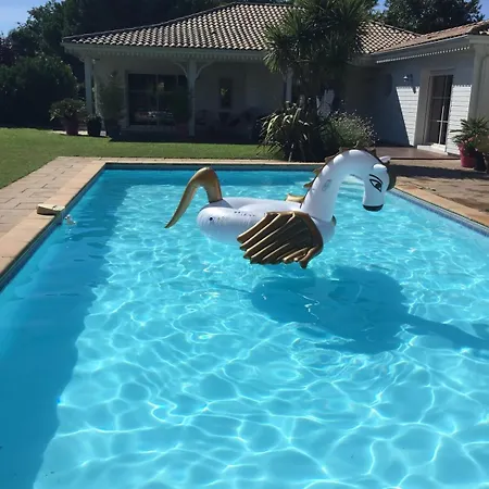 Du Paradis Des Canards La Teste-de-Buch