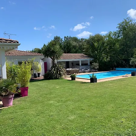 Du Paradis Des Canards *