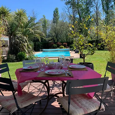 Du Paradis Des Canards *