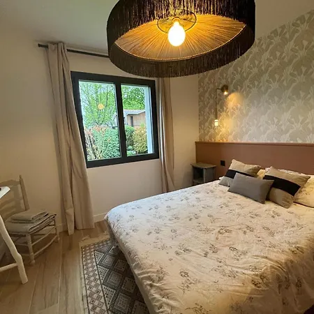 Du Paradis Des Canards La Teste-de-Buch