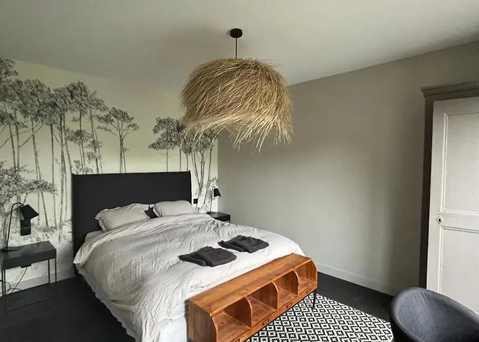 Du Paradis Des Canards * 라테스트드뷔크