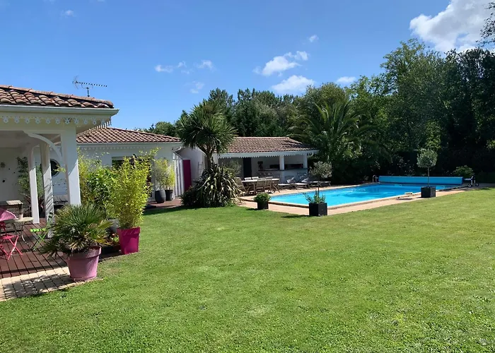 Du Paradis Des Canards *