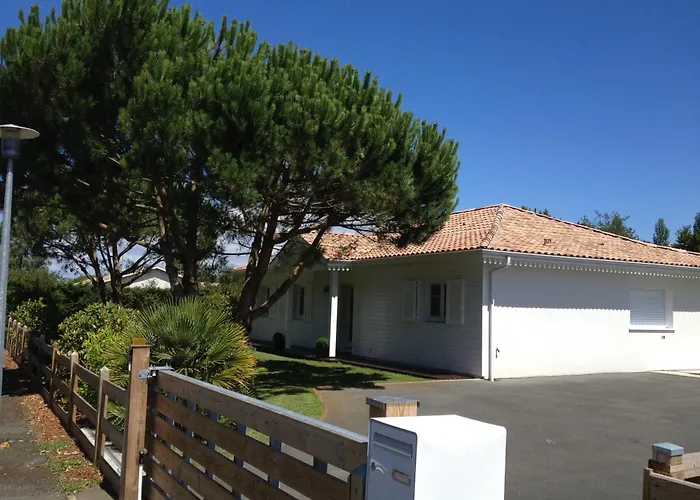 Du Paradis Des Canards *